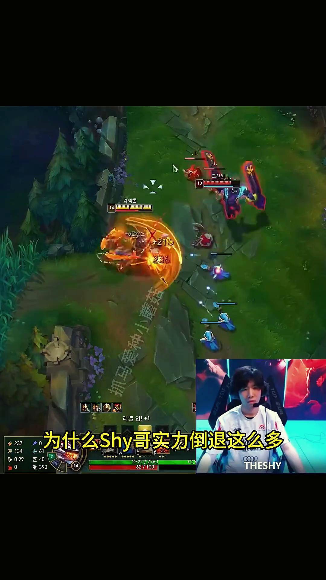  theshy在韩国打过职业吗 -爱游戏官方网站